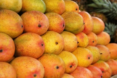 Photo of Pile of delicious ripe yellow mangoes, closeup