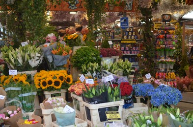 Photo of Many different colorful flowers in florist shop