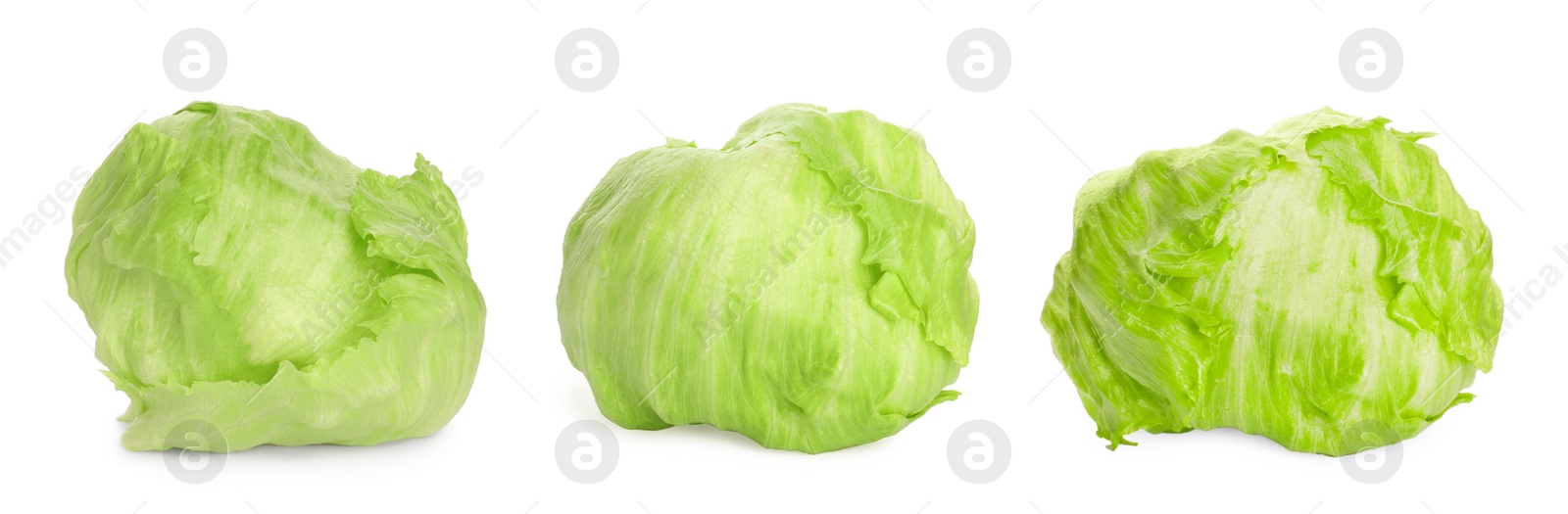 Image of Collage with fresh iceberg lettuce heads on white background