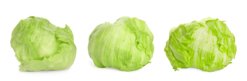 Collage with fresh iceberg lettuce heads on white background