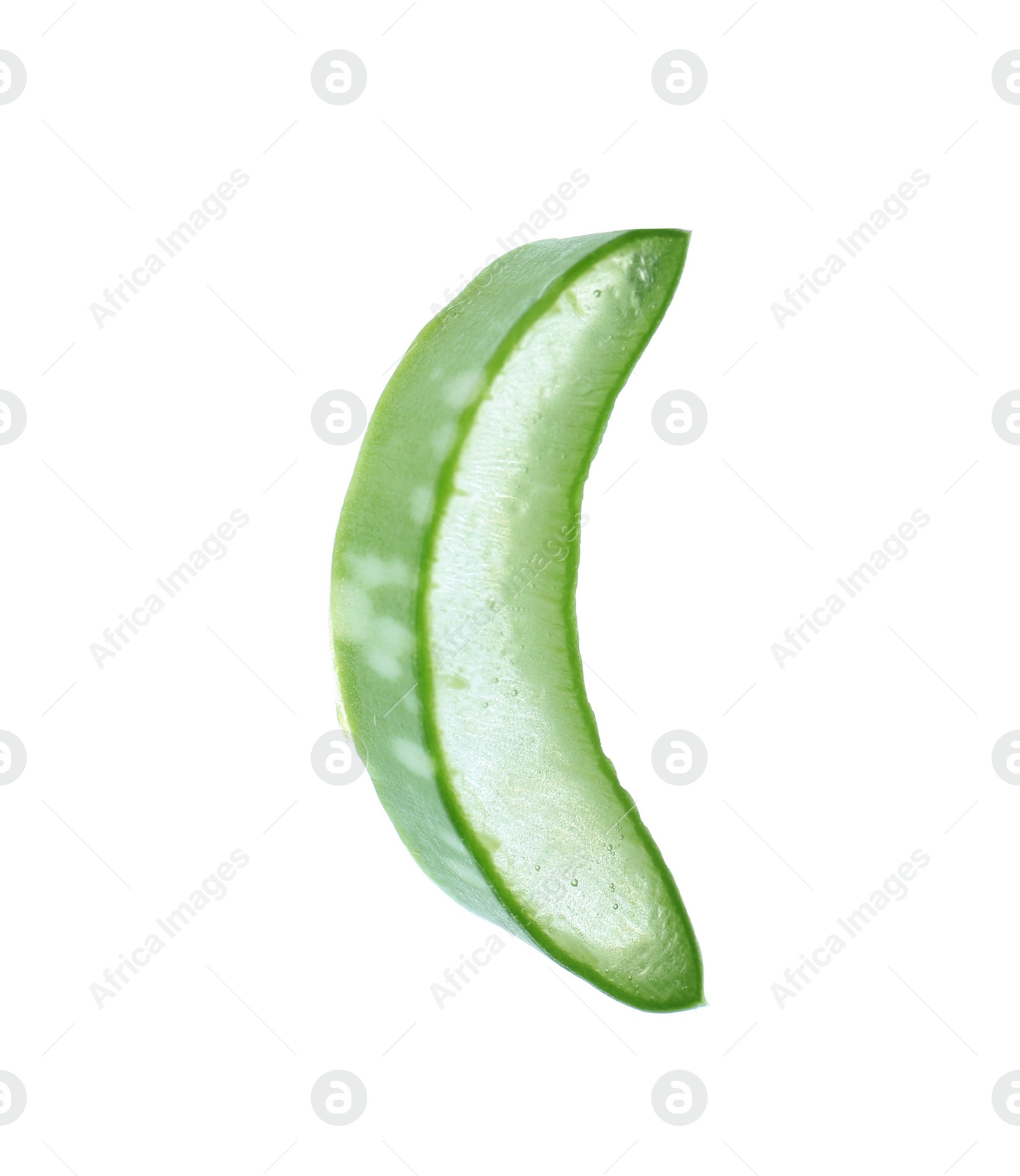 Photo of Aloe vera slice on white background