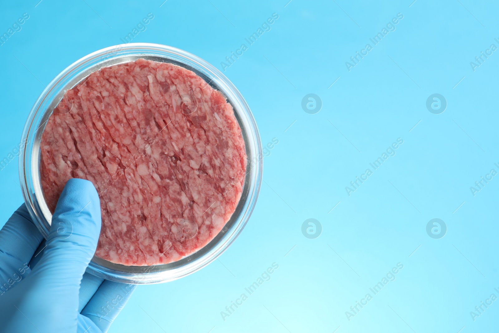 Photo of Scientist holding Petri dish with minced lab grown meat on light blue background, closeup. Space for text