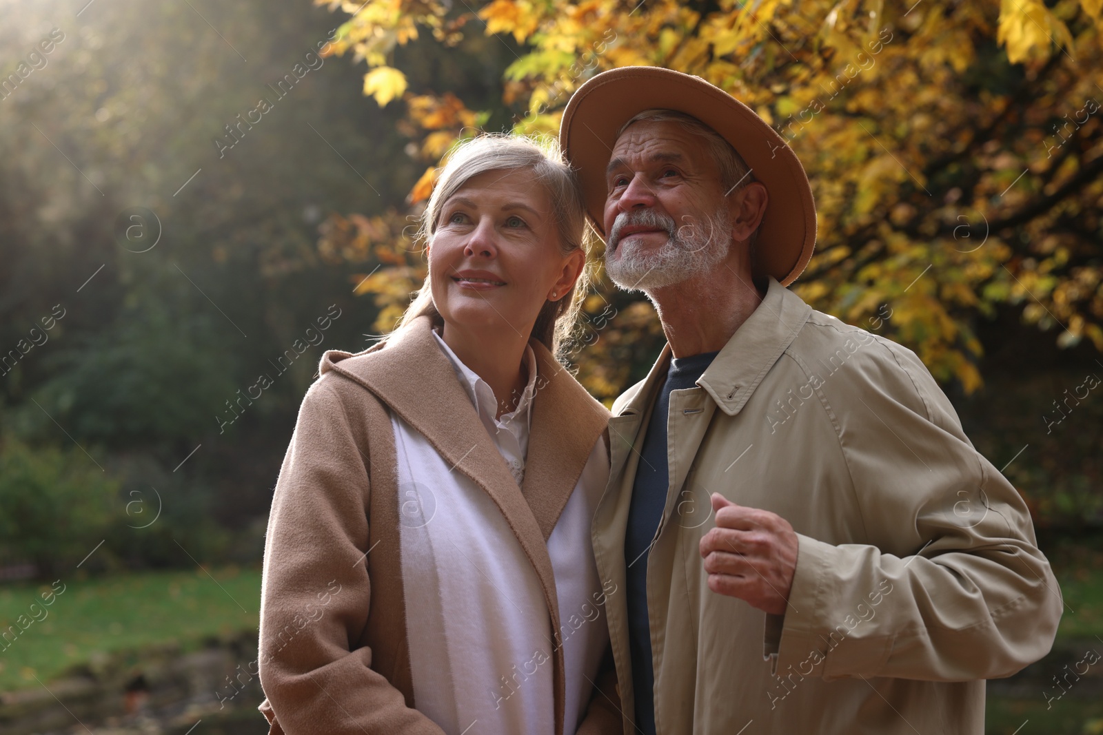 Photo of Portrait of affectionate senior couple in autumn park