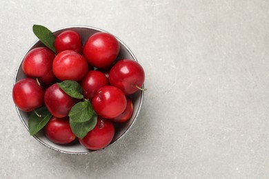 Photo of Delicious ripe cherry plums with leaves on light table, top view. Space for text
