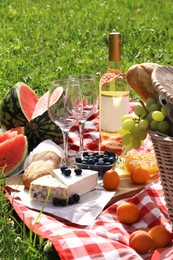 Picnic blanket with delicious food and wine outdoors on summer day