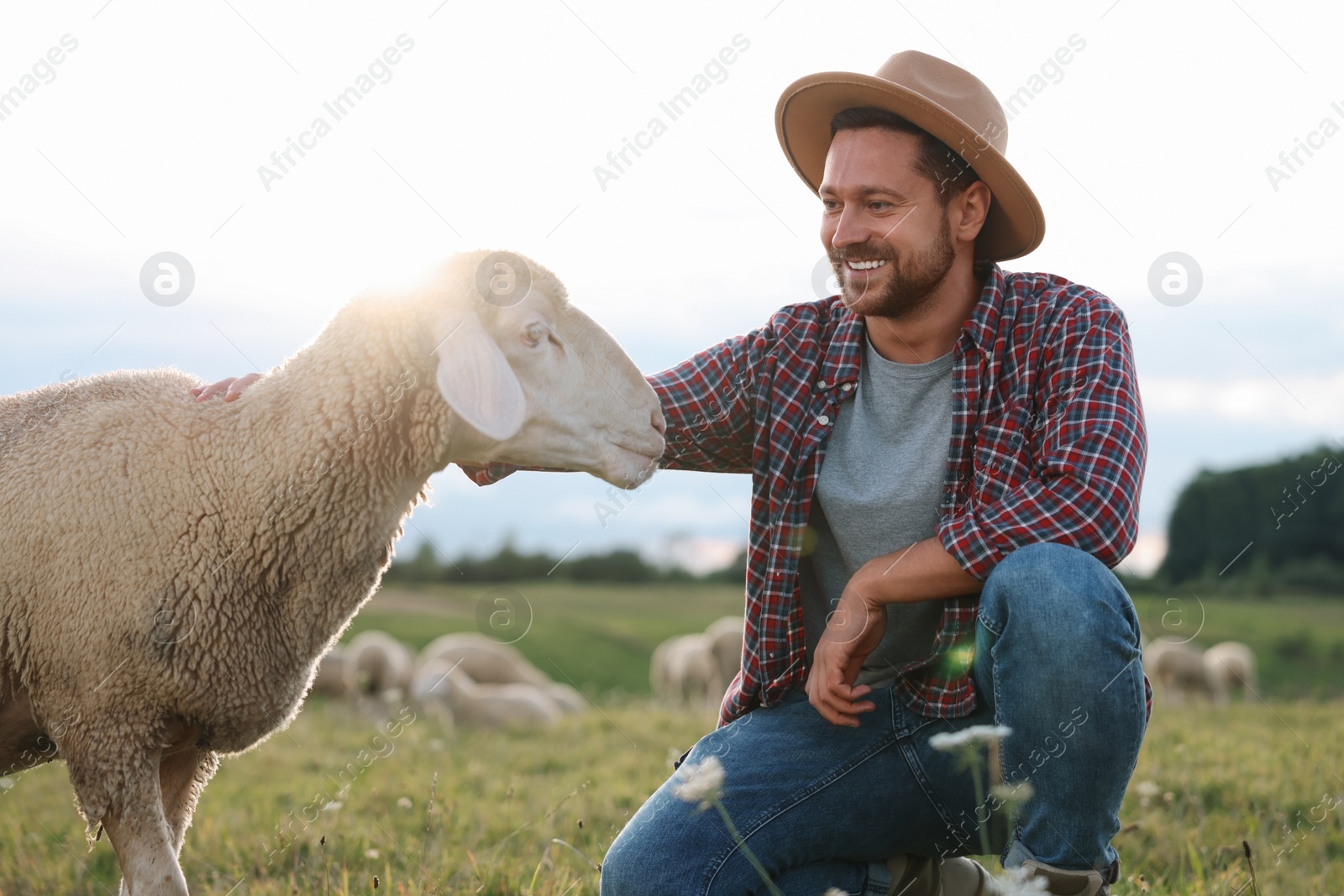 Photo of Smiling man with sheep on pasture at farm