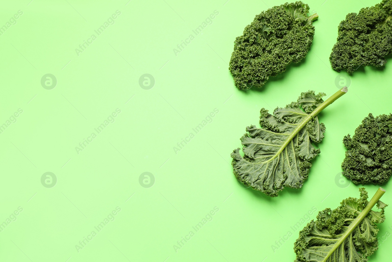 Photo of Fresh kale leaves on light green background, flat lay. Space for text