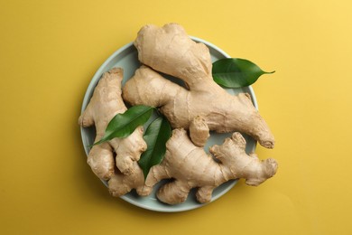 Photo of Fresh ginger with green leaves on pale light yellow background, top view