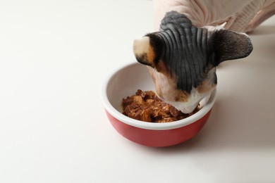 Photo of Cute Sphynx cat eating wet food from bowl on white table. Space for text
