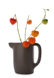 Photo of Physalis branches in jug on white background