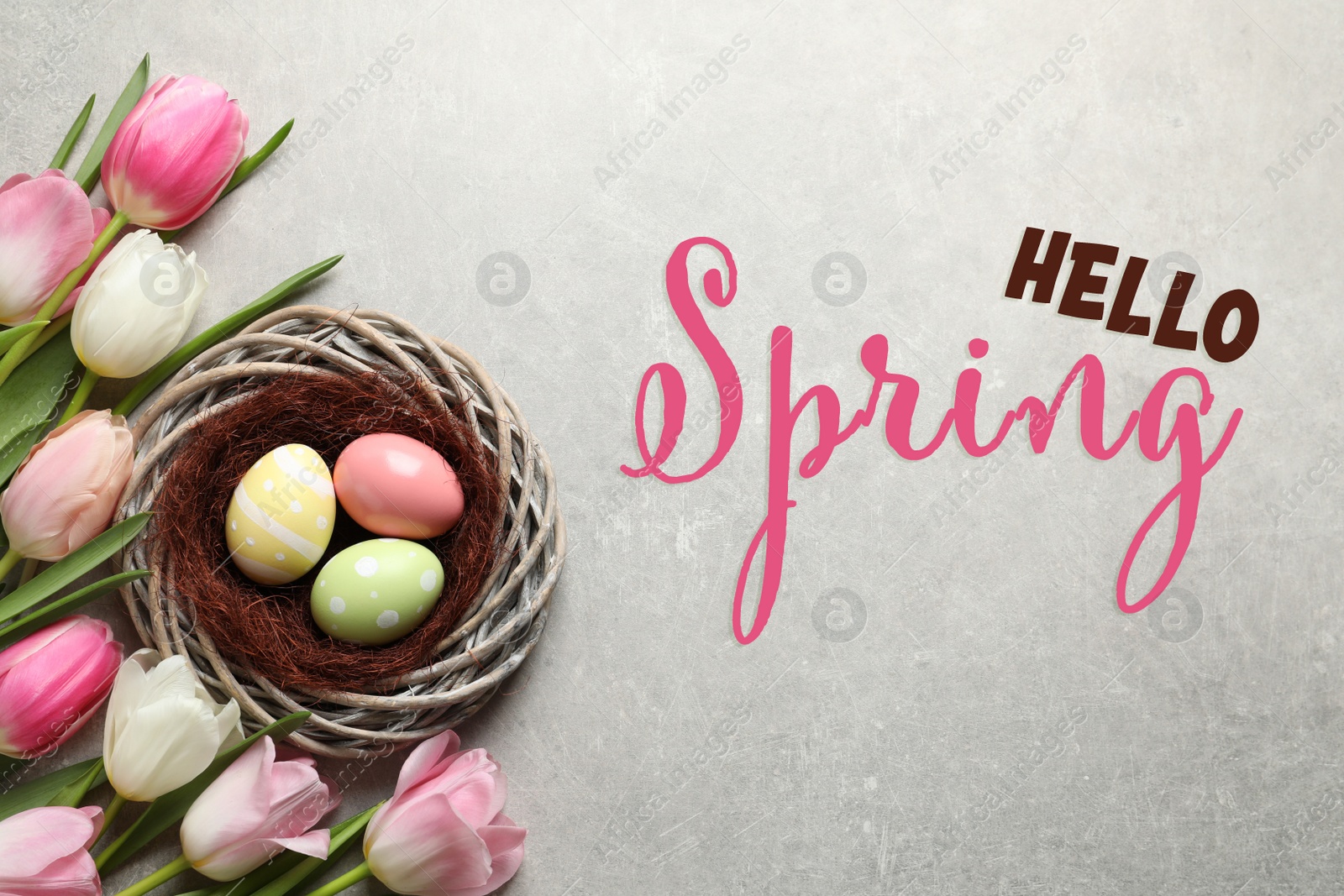 Image of Hello Spring. Flat lay composition with painted Easter eggs in wicker nest and tulips on grey background