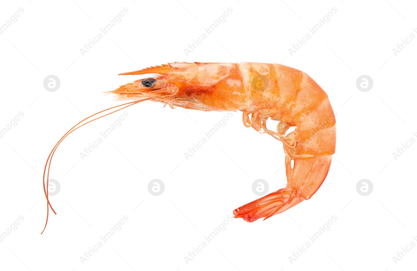 Photo of Delicious cooked whole shrimp isolated on white