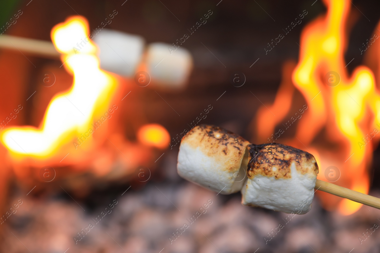 Photo of Delicious puffy marshmallows roasting over bonfire, closeup. Space for text