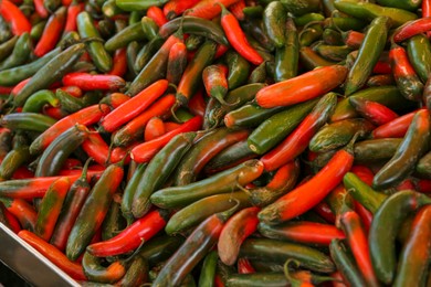 Photo of Heap of fresh Serrano peppers as background, closeup