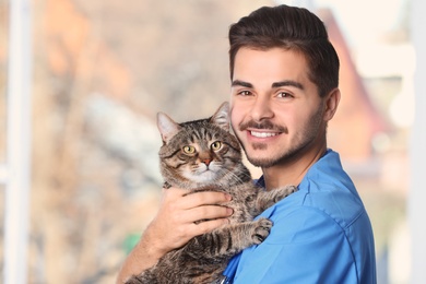 Photo of Veterinarian doc with cat in animal clinic. Space for text