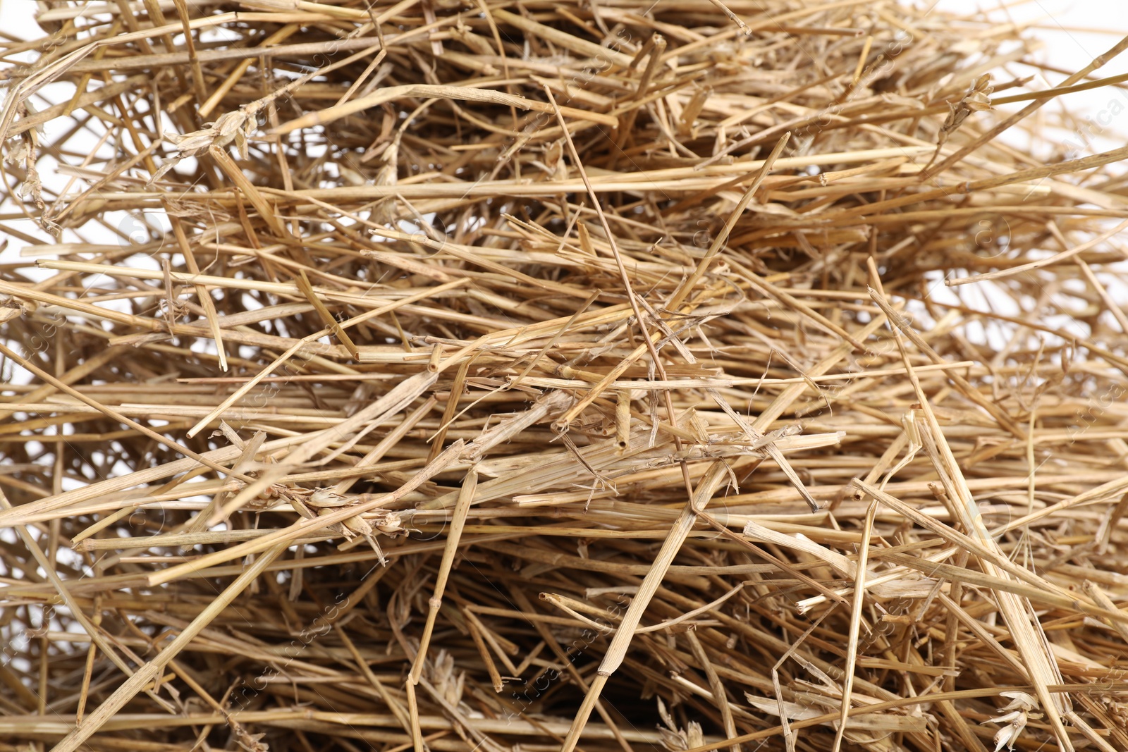 Photo of Dried straw on white background, closeup view
