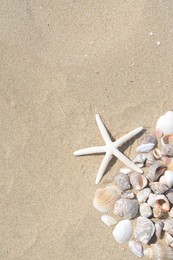 Photo of Beautiful starfish and sea shells on sandy beach, flat lay. Space for text