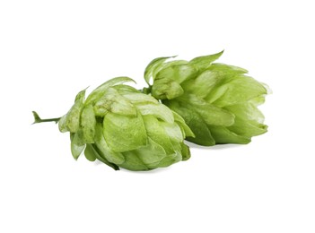 Photo of Fresh green hop flowers on white background