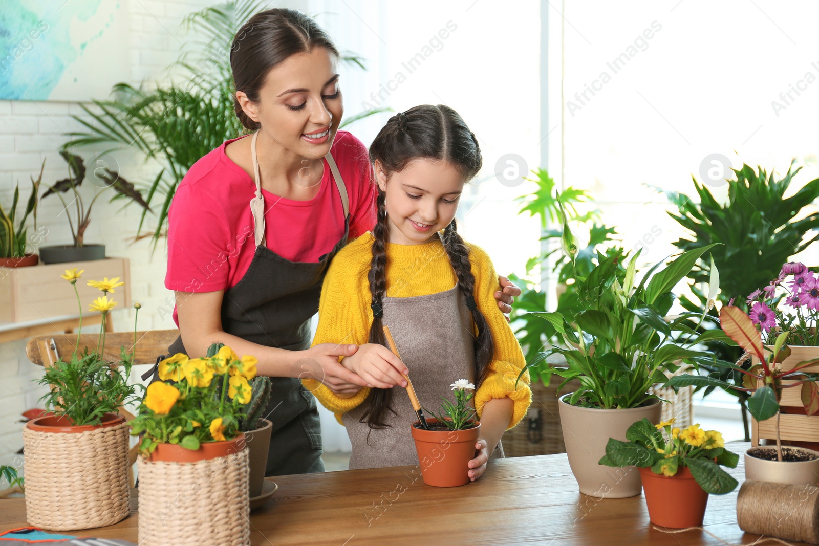 Photo of Mother and daughter taking care of potted plants at table at home