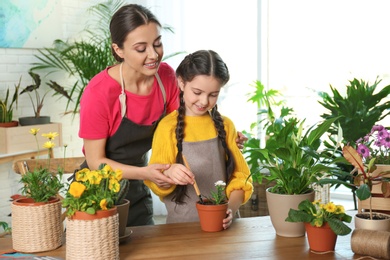 Photo of Mother and daughter taking care of potted plants at table at home