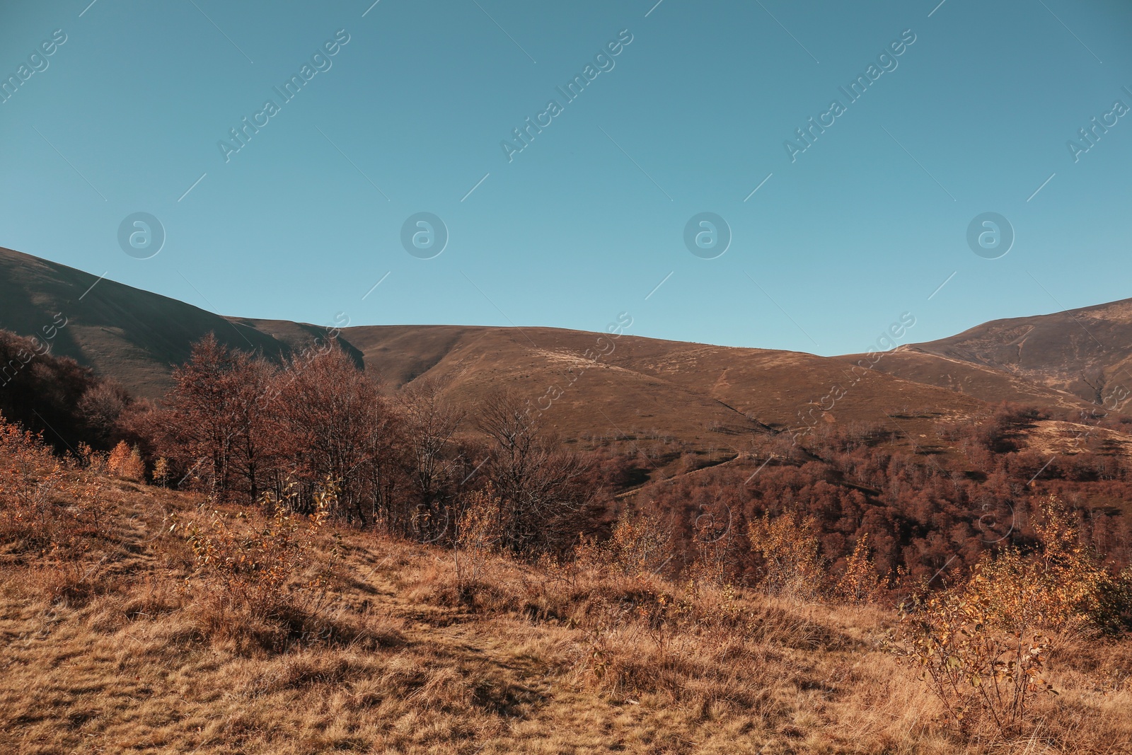 Photo of Beautiful mountain landscape with blue sky on sunny day