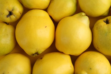 Photo of Delicious ripe quinces as background, top view
