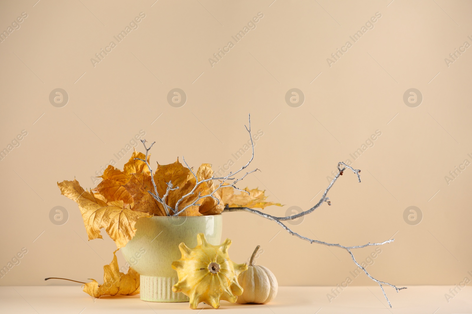Photo of Composition with beautiful autumn leaves, tree branches and pumpkins on table against beige background, space for text