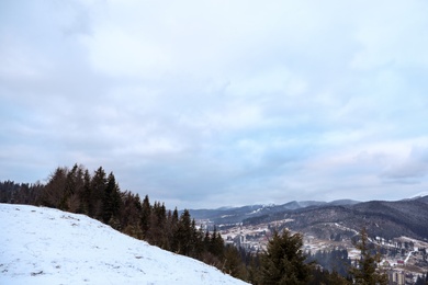 Winter landscape with mountain village near conifer forest