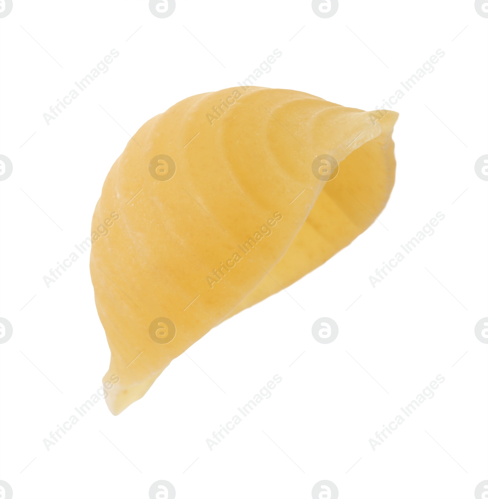 Photo of One piece of raw conchiglie pasta isolated on white