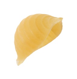 Photo of One piece of raw conchiglie pasta isolated on white