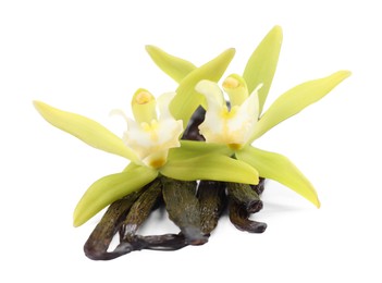 Vanilla pods and beautiful flowers isolated on white