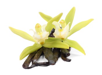 Photo of Vanilla pods and beautiful flowers isolated on white