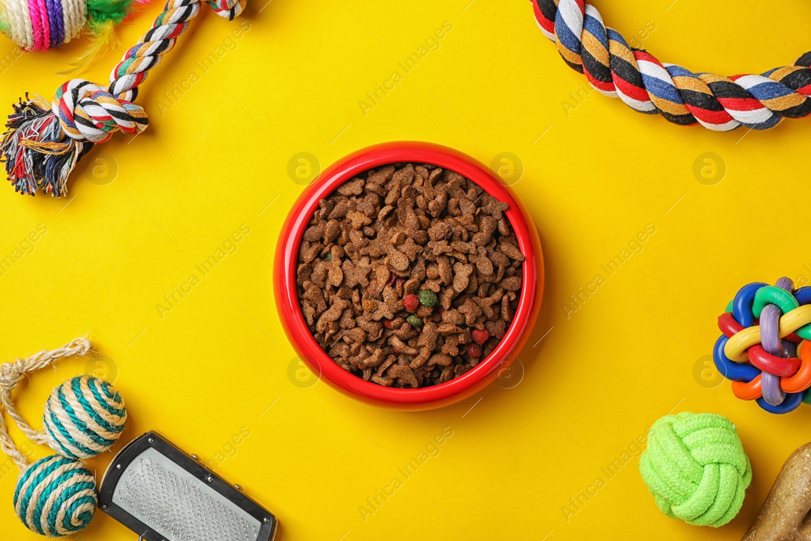 Photo of Bowl with food for cat or dog and accessories on color background. Pet care