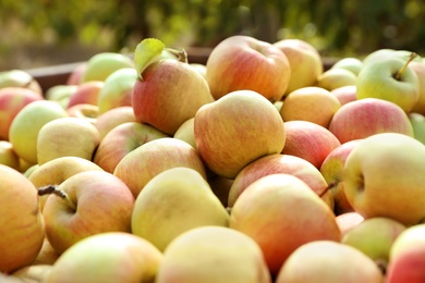 Photo of Large pile of ripe fresh apples outdoors