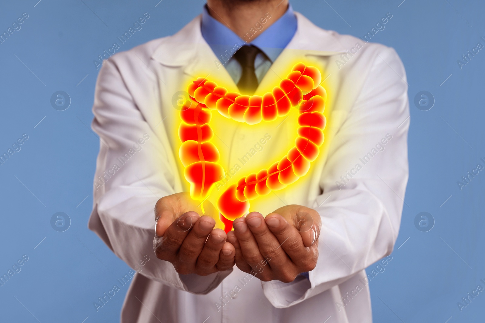 Image of Gastroenterologist holding illustration of large intestine on light blue background, closeup