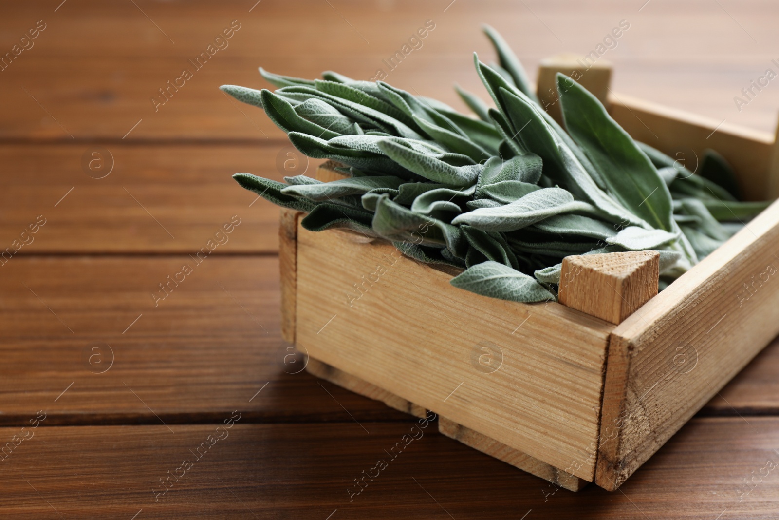 Photo of Crate with fresh green sage on wooden table, closeup