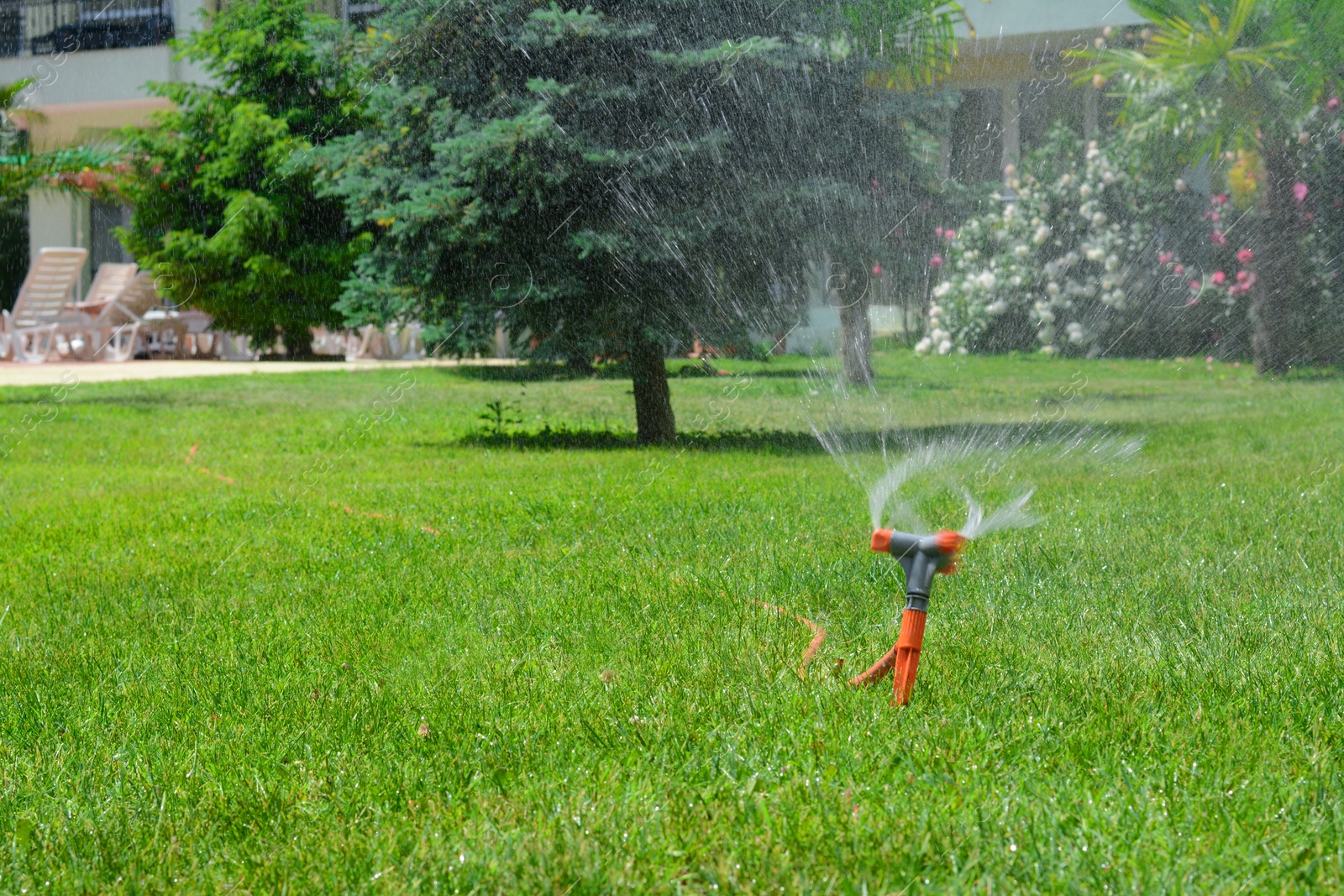 Photo of Automatic sprinkler watering green grass in park. Irrigation system