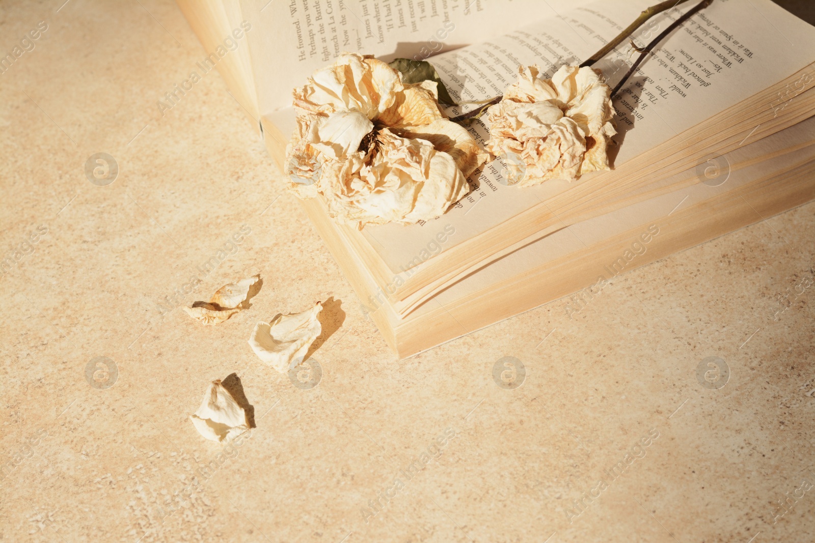 Photo of Book with beautiful dried flowers on light table