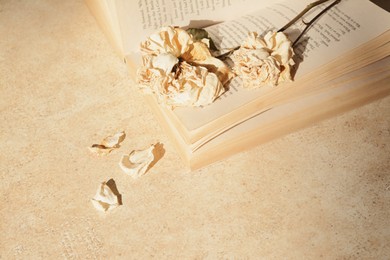 Photo of Book with beautiful dried flowers on light table