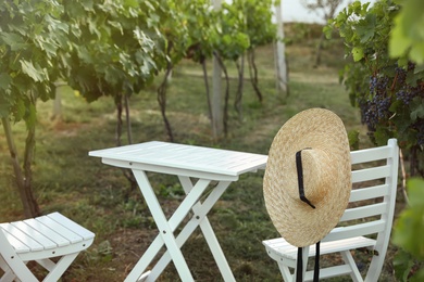 White table and chairs in vineyard with ripe grapes