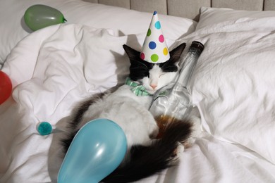 Photo of Cute cat wearing birthday hat and bow tie with bottle of whiskey on bed. After party hangover