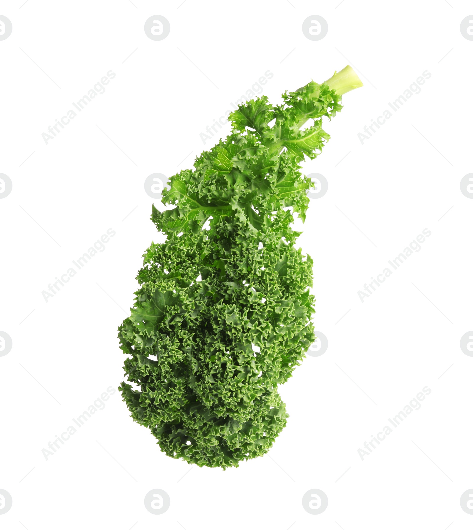 Photo of Fresh green kale leaf isolated on white