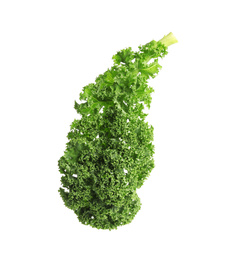 Fresh green kale leaf isolated on white