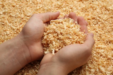 Photo of Woman holding dry natural sawdust, closeup view