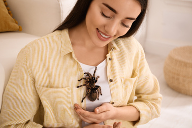 Photo of Woman with striped knee tarantula at home. Exotic pet