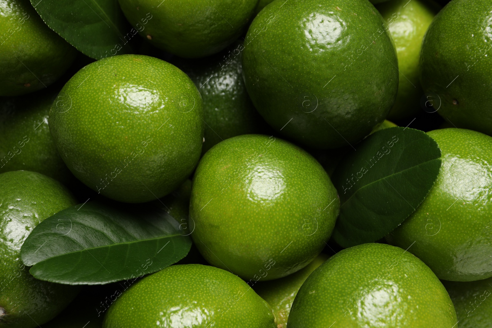 Photo of Fresh ripe limes and leaves as background, top view