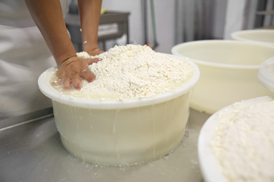 Worker pressing curd into mould at cheese factory, closeup