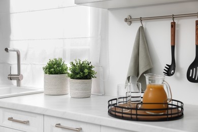 Photo of Different potted artificial plants on countertop in kitchen. Home decor