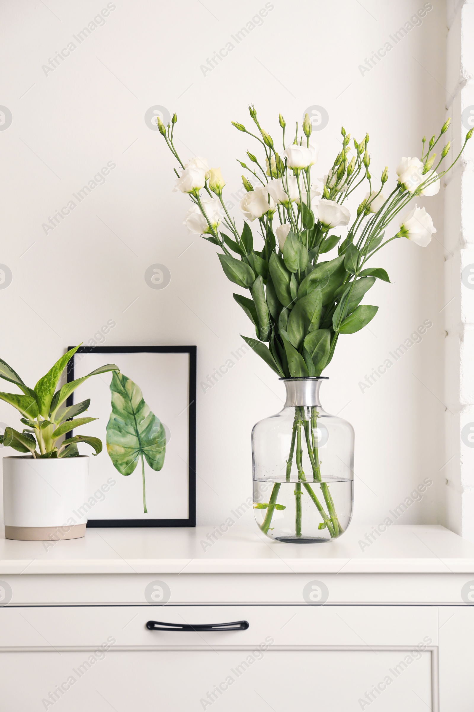 Photo of Decorative vase with flowers and houseplant on commode indoors