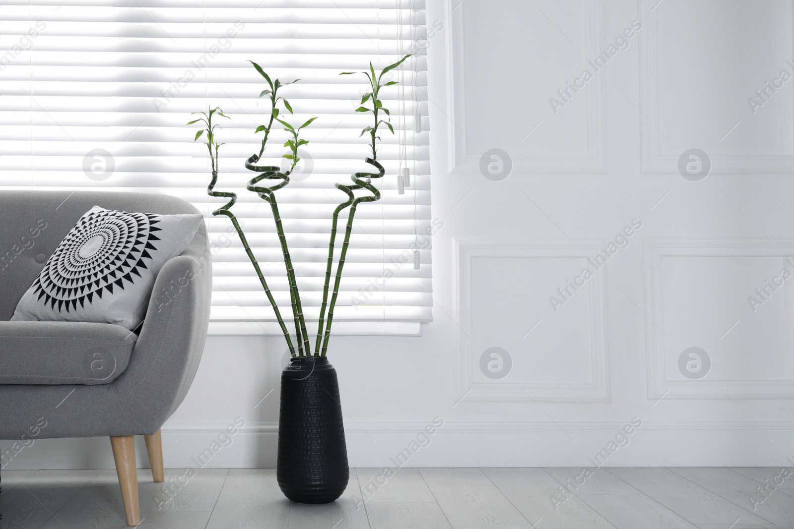 Photo of Vase with green bamboo stems near sofa in living room interior. Space for text